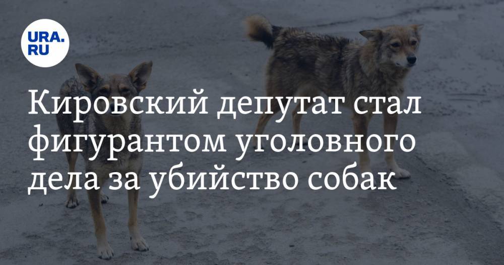 Кировский депутат стал фигурантом уголовного дела за убийство собак