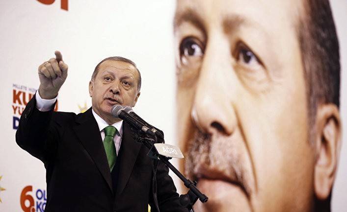Milliyet: 2019 — «год рывка» во внешней политике Турции