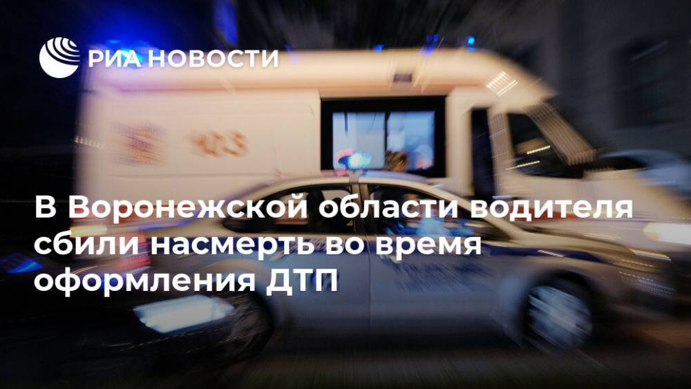 В Воронежской области водителя сбили насмерть во время оформления ДТП