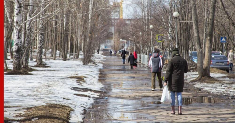 Росгидромет назвал причину аномально тёплой зимы в России