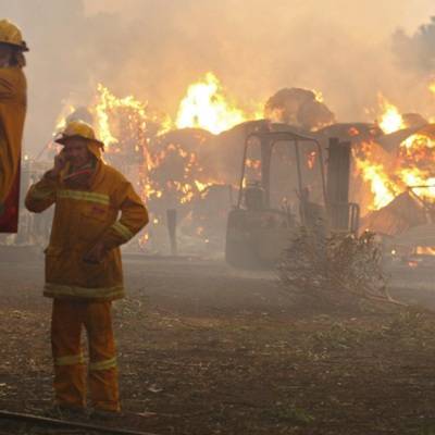 Австралийские пожары объединяются в один крупный