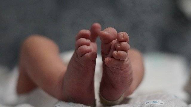 В США женщина дважды за год родила близнецов