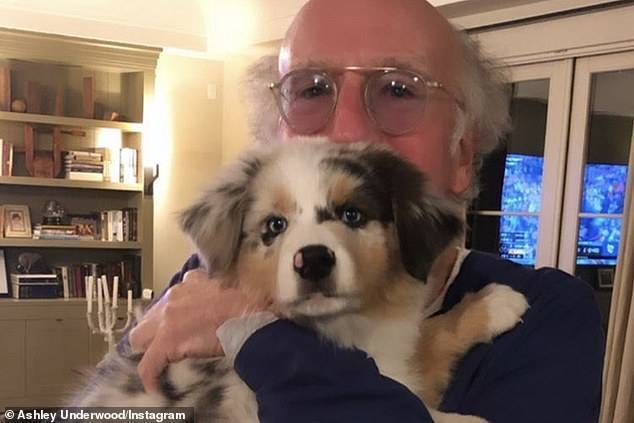 Двойник Берни Сандерса назвал в его честь собаку