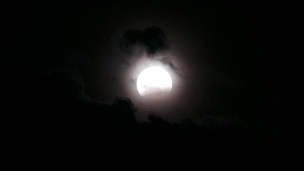Лунное затмение смогут наблюдать жители Карелии