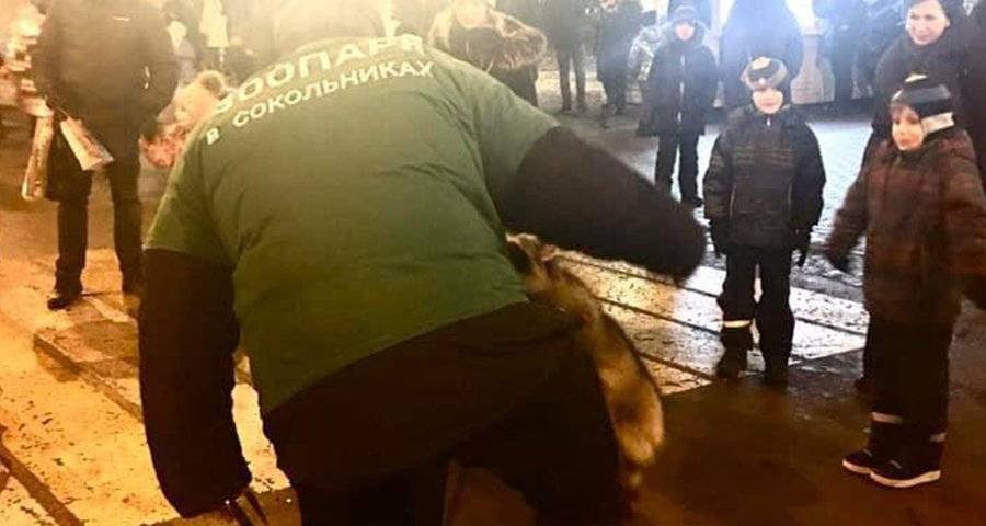 Россиян призвали жаловаться на незаконно работающие контактные зоопарки