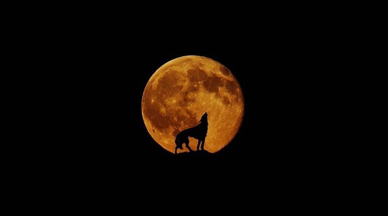 Сегодня на небе взойдет «Волчья луна», и случится затмение: где посмотреть