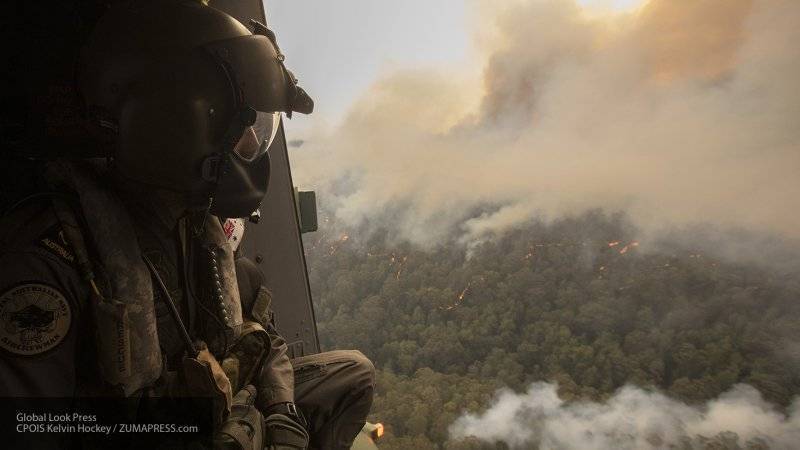 Живущий в Австралии петербуржец рассказал, как справляется страна с лесными пожарами