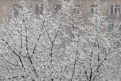 В Москве провозгласили пришествие зимы