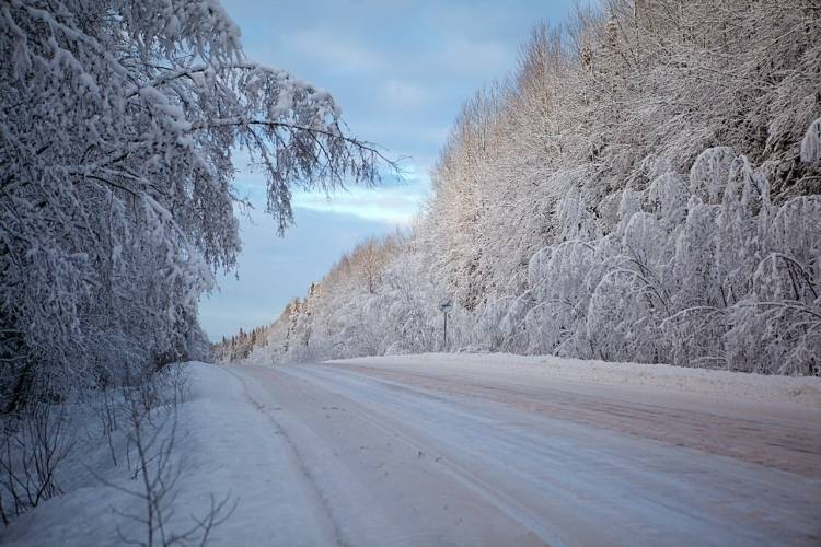 Специалисты предупреждают москвичей об опасности на дорогах из-за снегопада