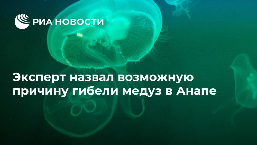 Эксперт назвал возможную причину гибели медуз в Анапе