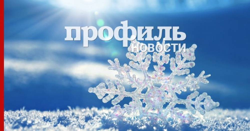 Снег или дождь: какая погода ждёт россиян в середине января
