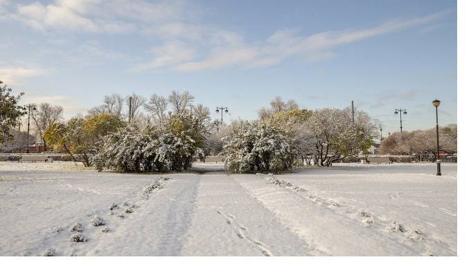 Весь день 12 января в Ленобласти будет идти мокрый снег