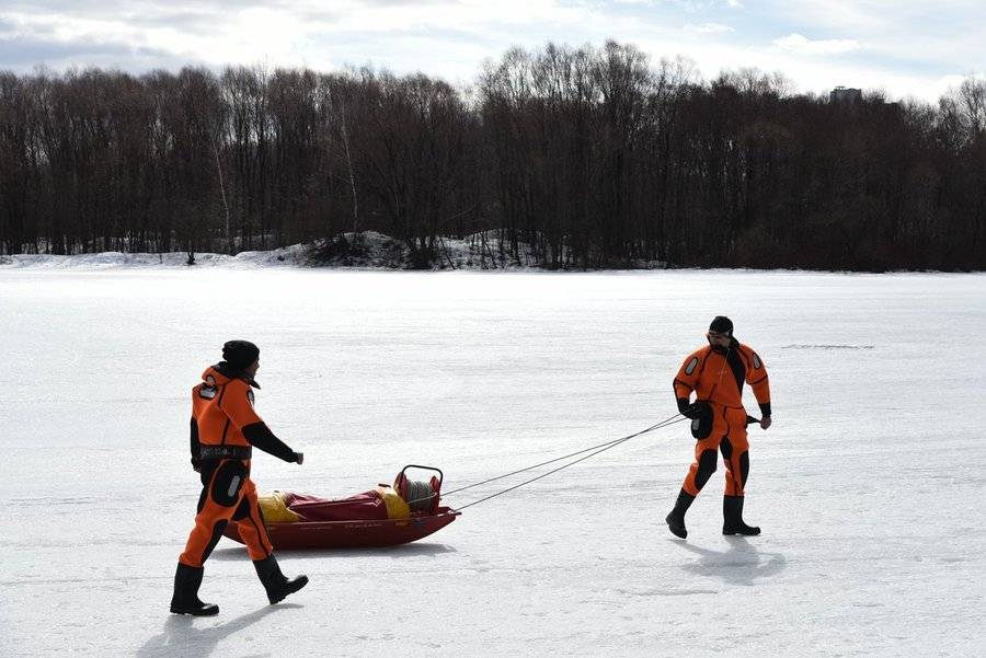 Двое детей провалились под лед в Подольске и погибли