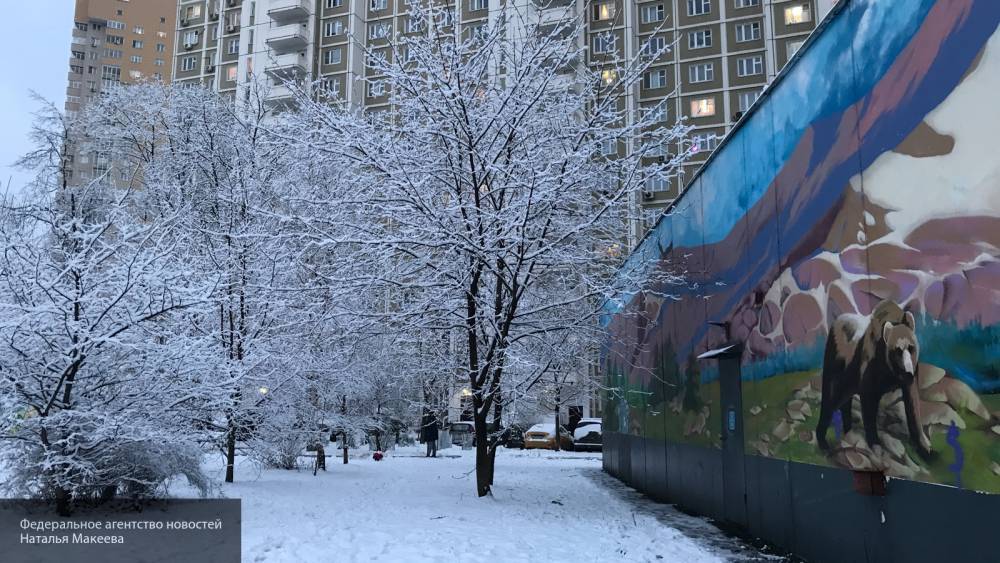 Синоптики Москвы обещают к утру воскресенья до 10 сантиметров снега