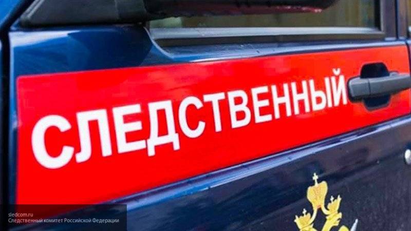 Следователи начали проверку в Подольске по факту гибели двух провалившихся под лед детей