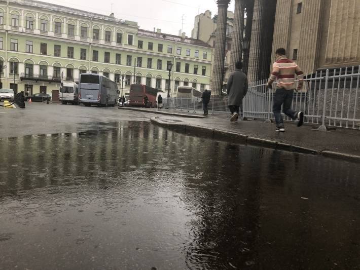 Мокрый снег выпадет в воскресенье в Петербурге и области