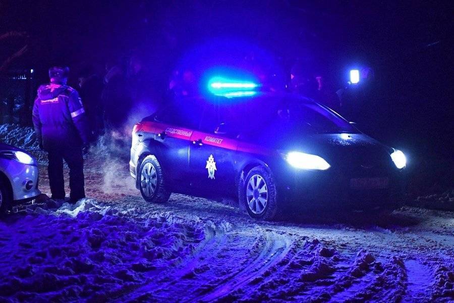 СК начал проверку после гибели двух мальчиков, провалившихся под лед в Подольске