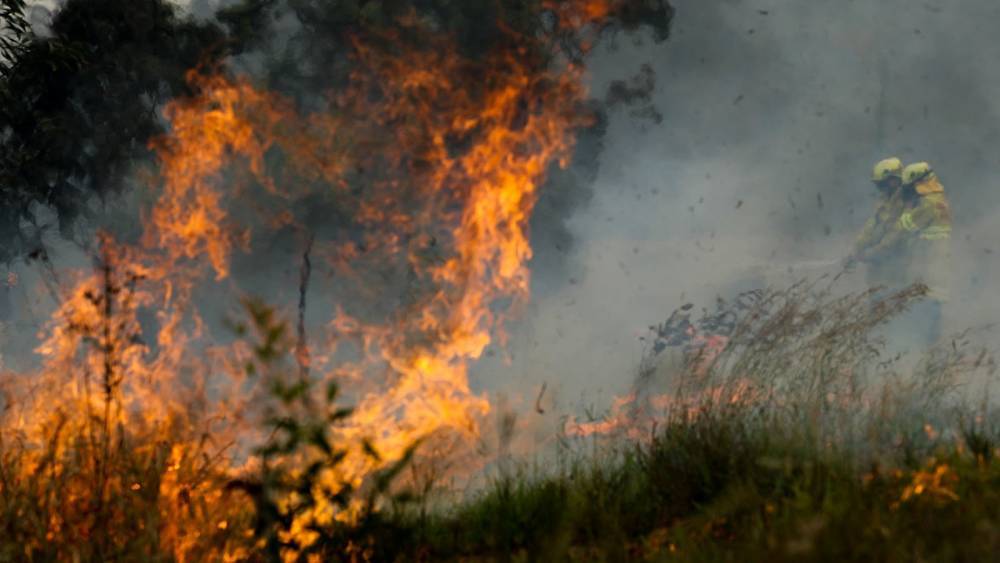 Живущий в Австралии петербуржец рассказал о борьбе с лесными пожарами