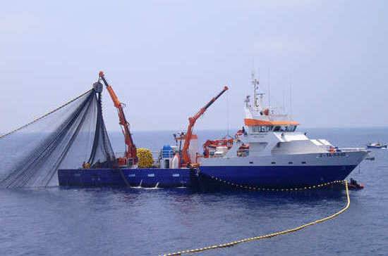 Затраты на строительство рыбопромысловых судов будут возмещать из бюджета