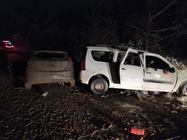 Три человека погибли в автомобильной аварии под Рязанью