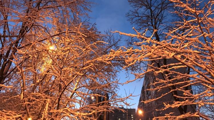 Снежный покров в Москве достиг уровня семи сантиметров