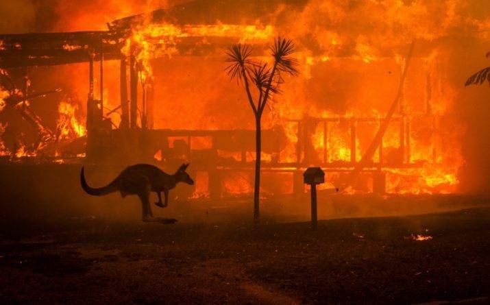 «Премьер-министры тоже сделаны из плоти и крови»: власти Австралии признали ошибки в борьбе с пожарами