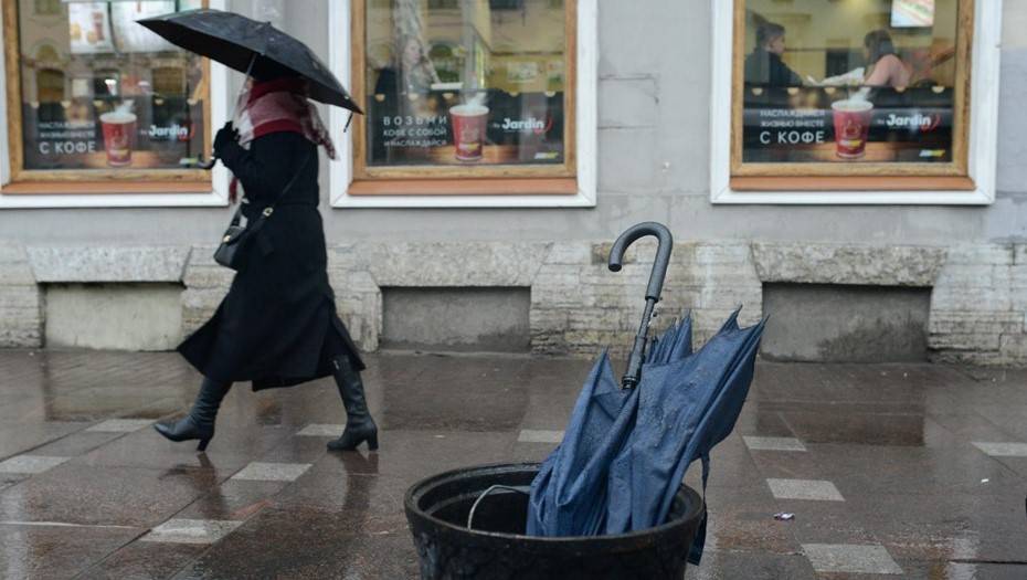 Синоптики прогнозируют дожди и сильный ветер в Петербурге