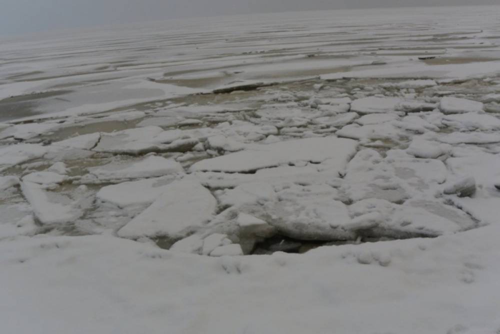 В Подмосковье СК проводит проверку после смерти провалившихся под лед двух детей
