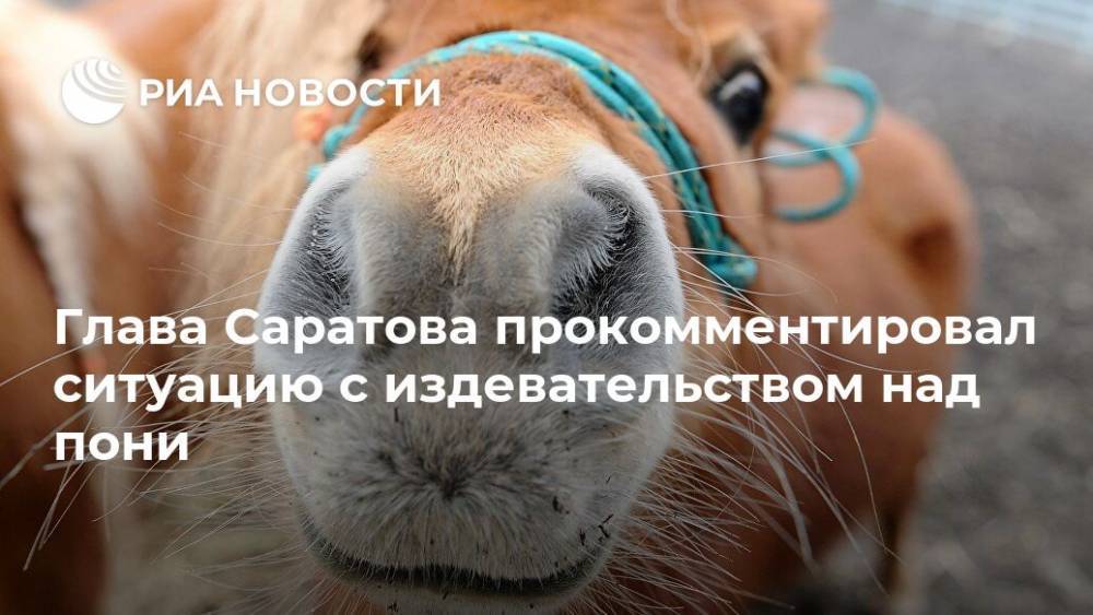 Глава Саратова прокомментировал ситуацию с издевательством над пони