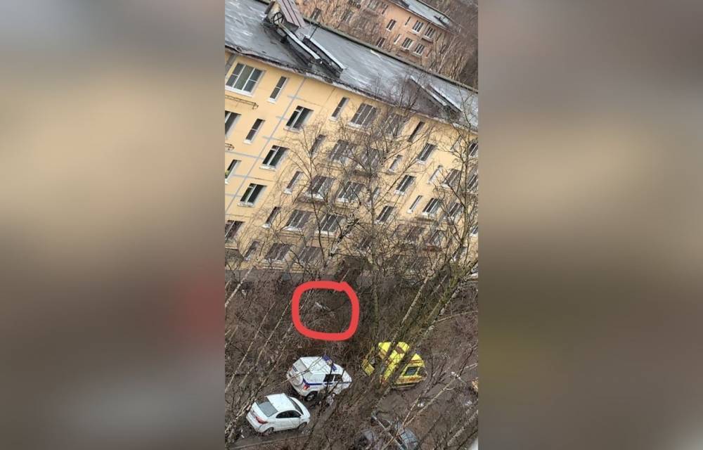 Очевидцы заметили лежащего человека под окнами дома на улице Белы Куна