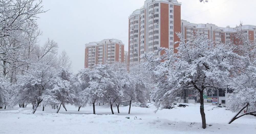 Москвичи пережили самую холодную ночь с начала зимы
