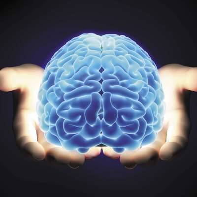 Ученые рассказали о пищевых пристрастиях мозга