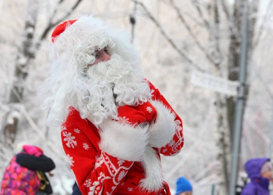 Дед Мороз украл норковую шубу в храме в Мытищах