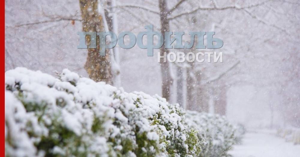 Синоптики рассказали о погоде в Москве 13 января