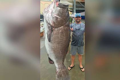 Рыбак поймал на удочку 159-килограммовую рыбу размером с человека