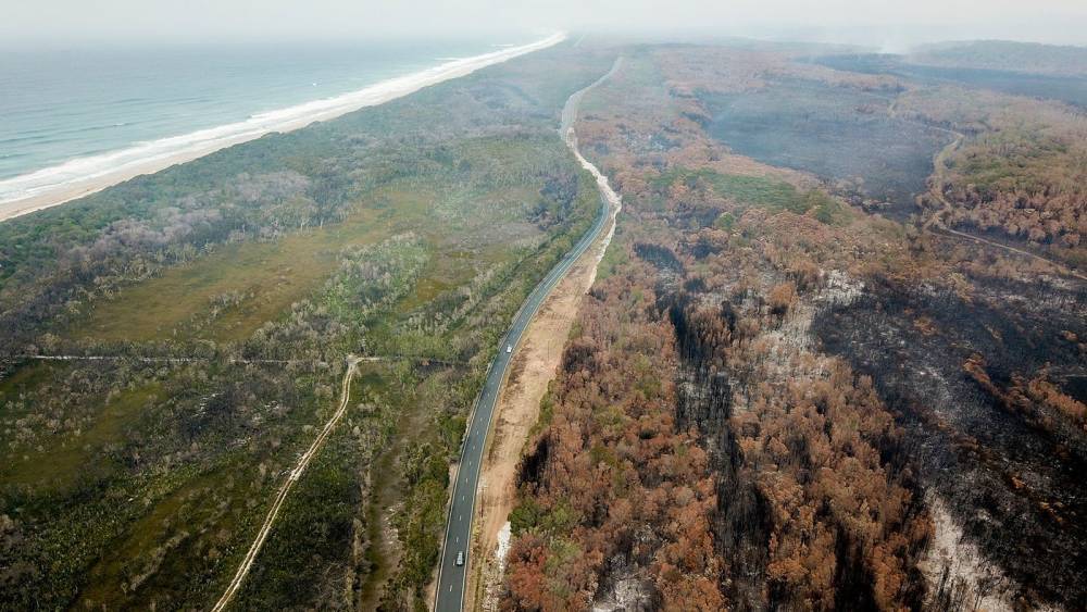 Убытки экономики Австралии из-за лесных пожаров составят порядка 3,5 миллиарда долларов