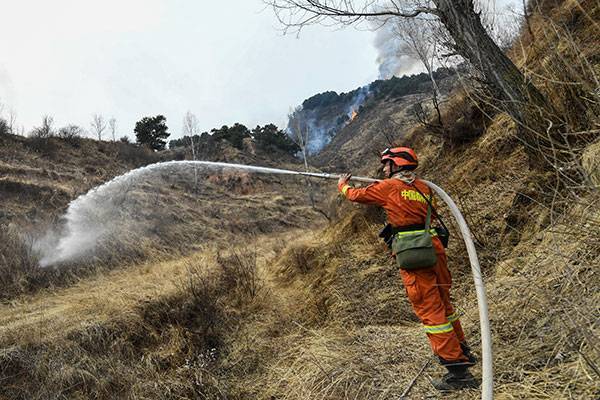 В 2019 году в Китае сократилось число лесных и степных пожаров