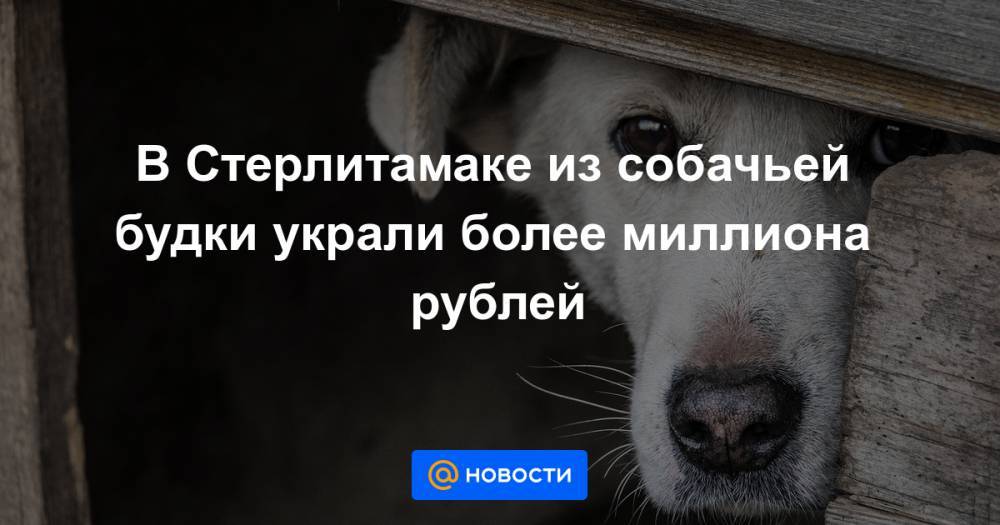 В Стерлитамаке из собачьей будки украли более миллиона рублей