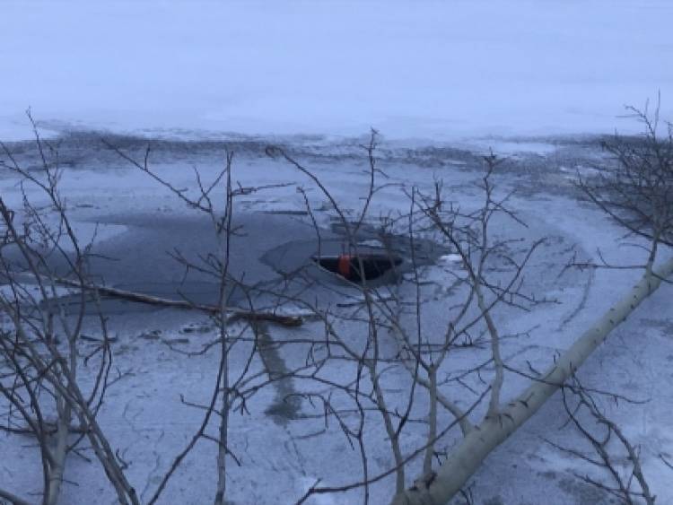 Два рязанца спасли собаку, провалившуюся под лед