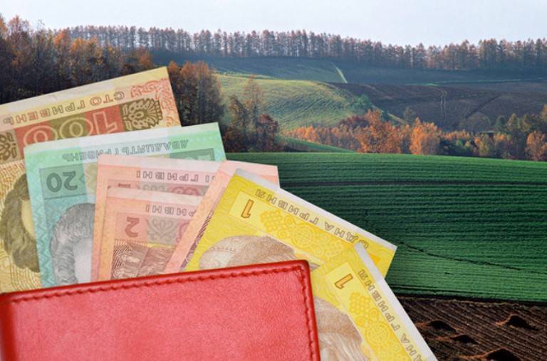 Вся украинская земля уйдёт иностранцам в качестве залога за кредиты