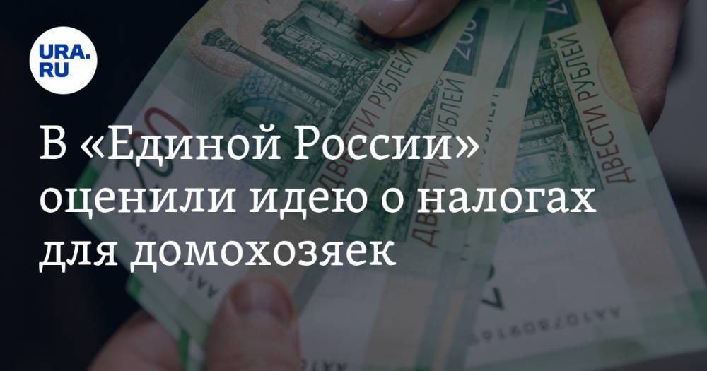 В «Единой России» оценили идею о налогах для домохозяек