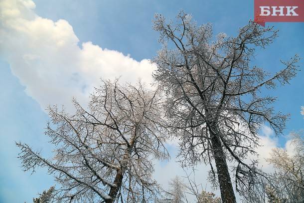В Коми прогнозируют 20-градусные морозы