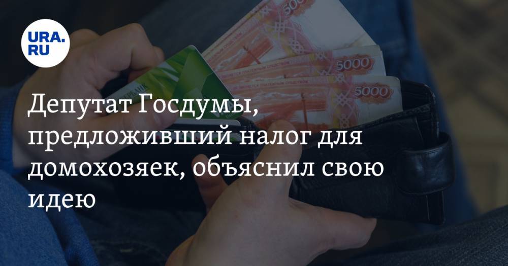 Депутат Госдумы, предложивший налог для домохозяек, объяснил свою идею