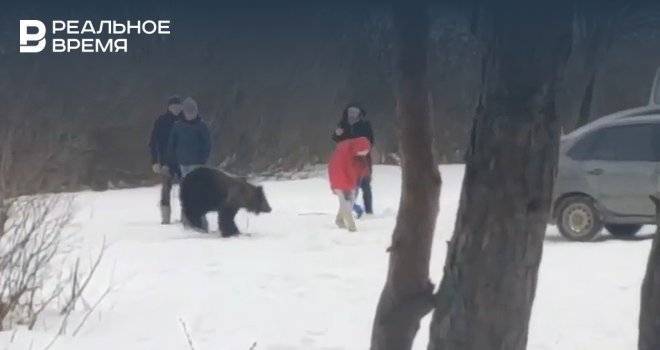 В Набережных Челнах сняли на видео выгул медведя на поводке
