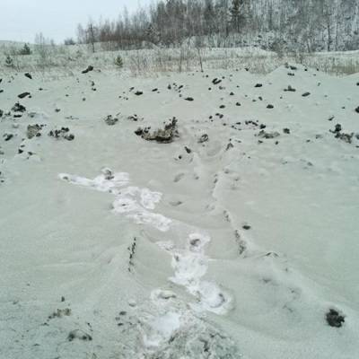Жители Челябинской области сообщают о снеге зеленого цвета