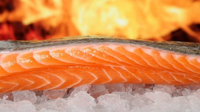 В Петербург не пустили почти 20 тонн лосося из Чили