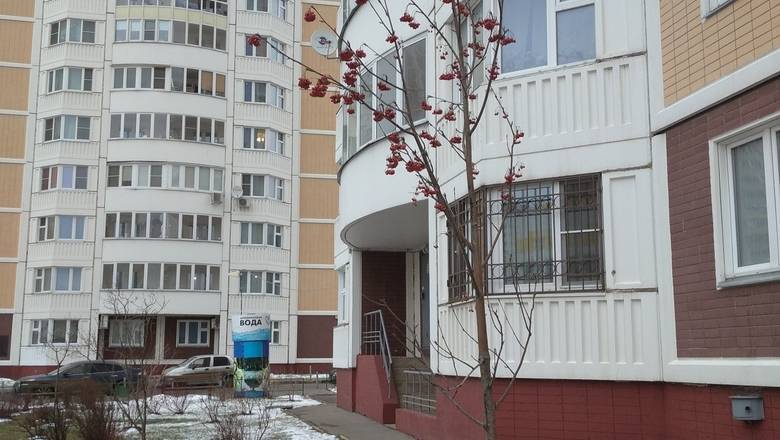 Расследование "НИ": сколько деревьев останется в московских дворах после реновации