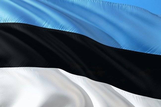 Россия не оправдала надежд Эстонии на «демократию» с танками – Гаспарян