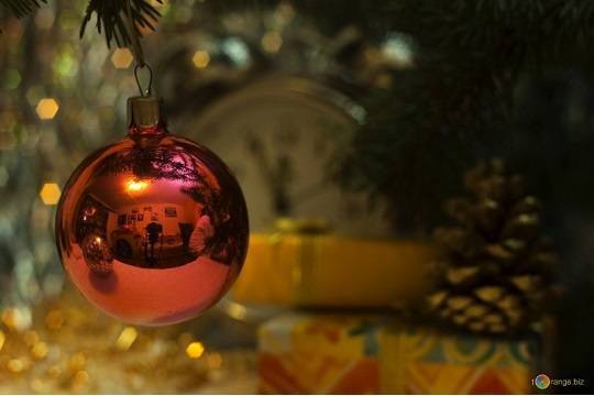Половина россиян провела новогодние праздники на диване