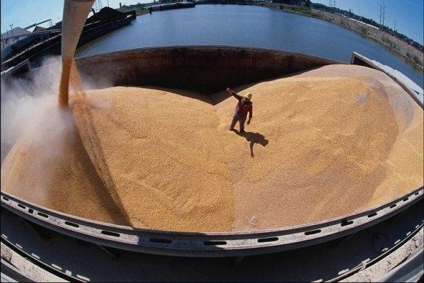 Вывоз зерна из России планируют ограничить